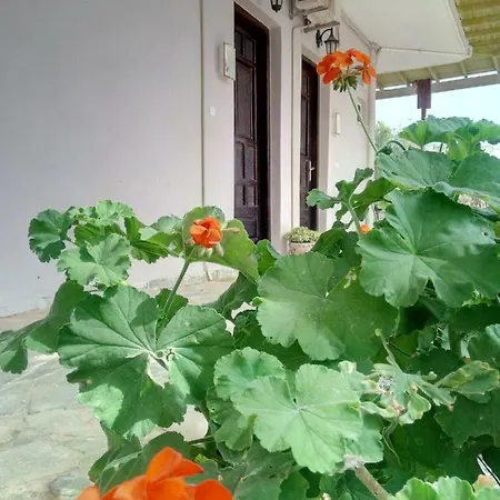 Ferienwohnung Εmmi Koutsounári Exterior foto