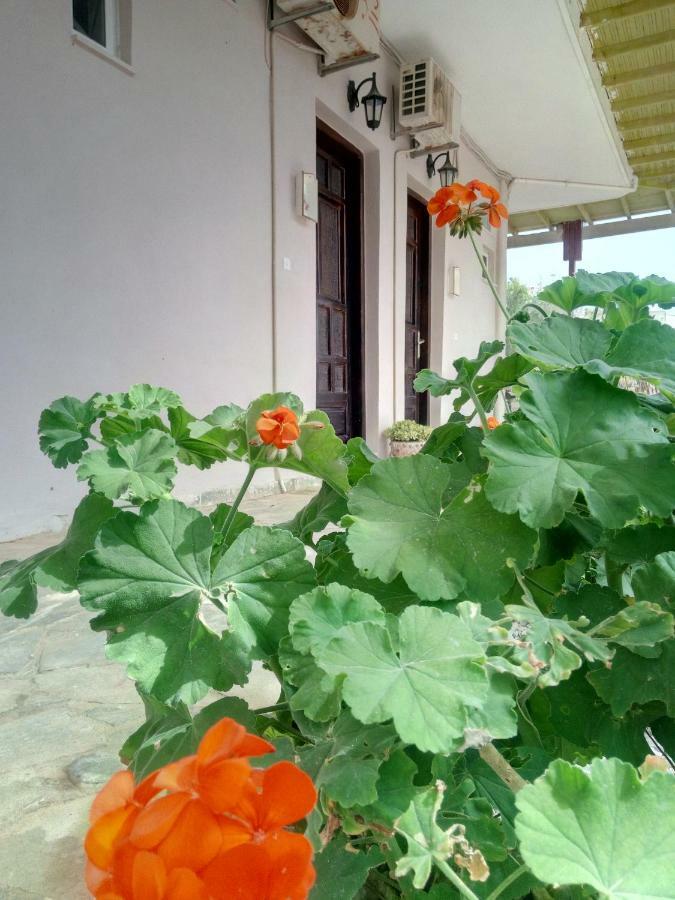 εmmi Apartment Koutsounari